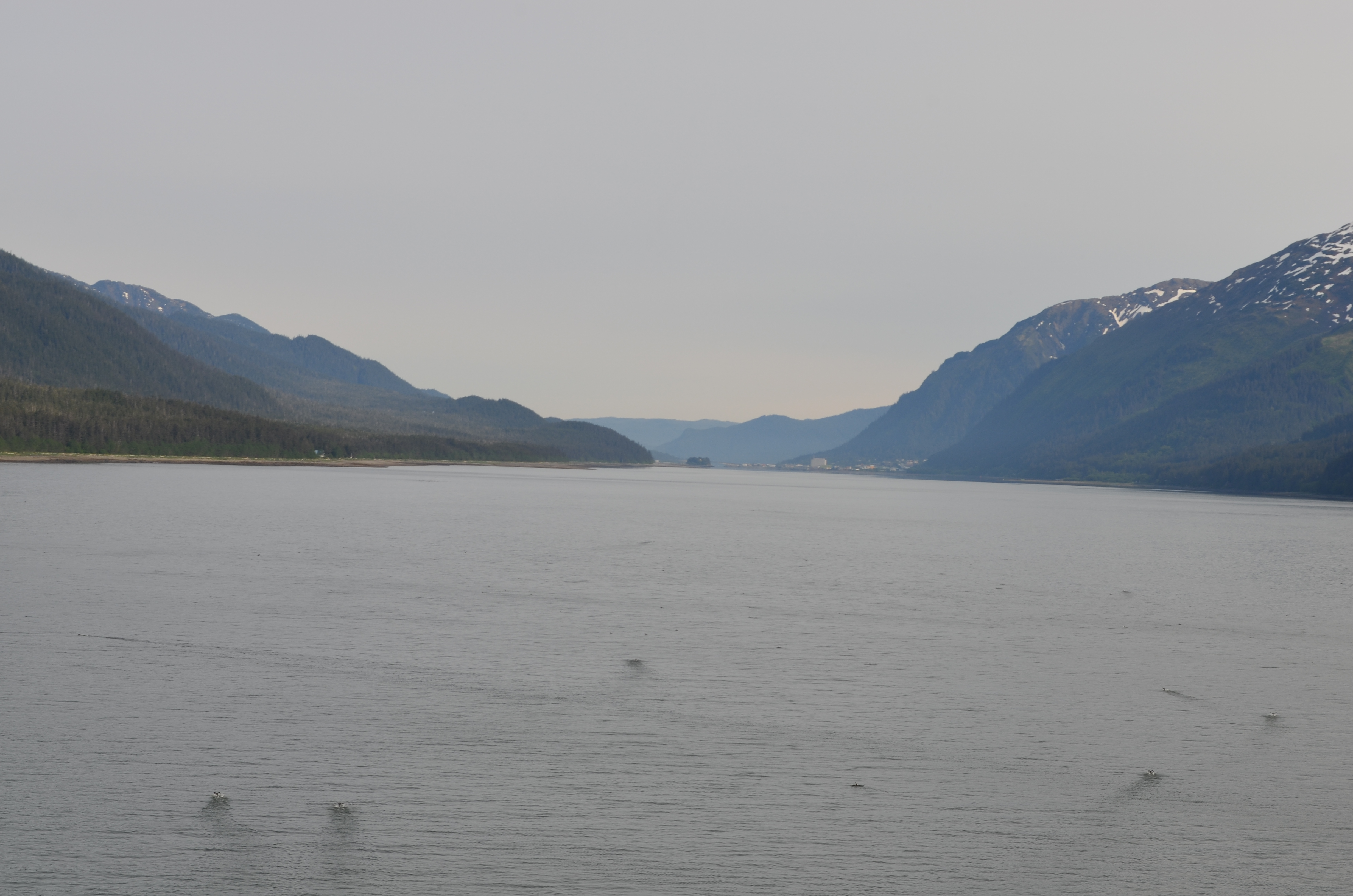 ./2017/08 - Alaska Cruise/08 - Juneau/DSC_0809.JPG